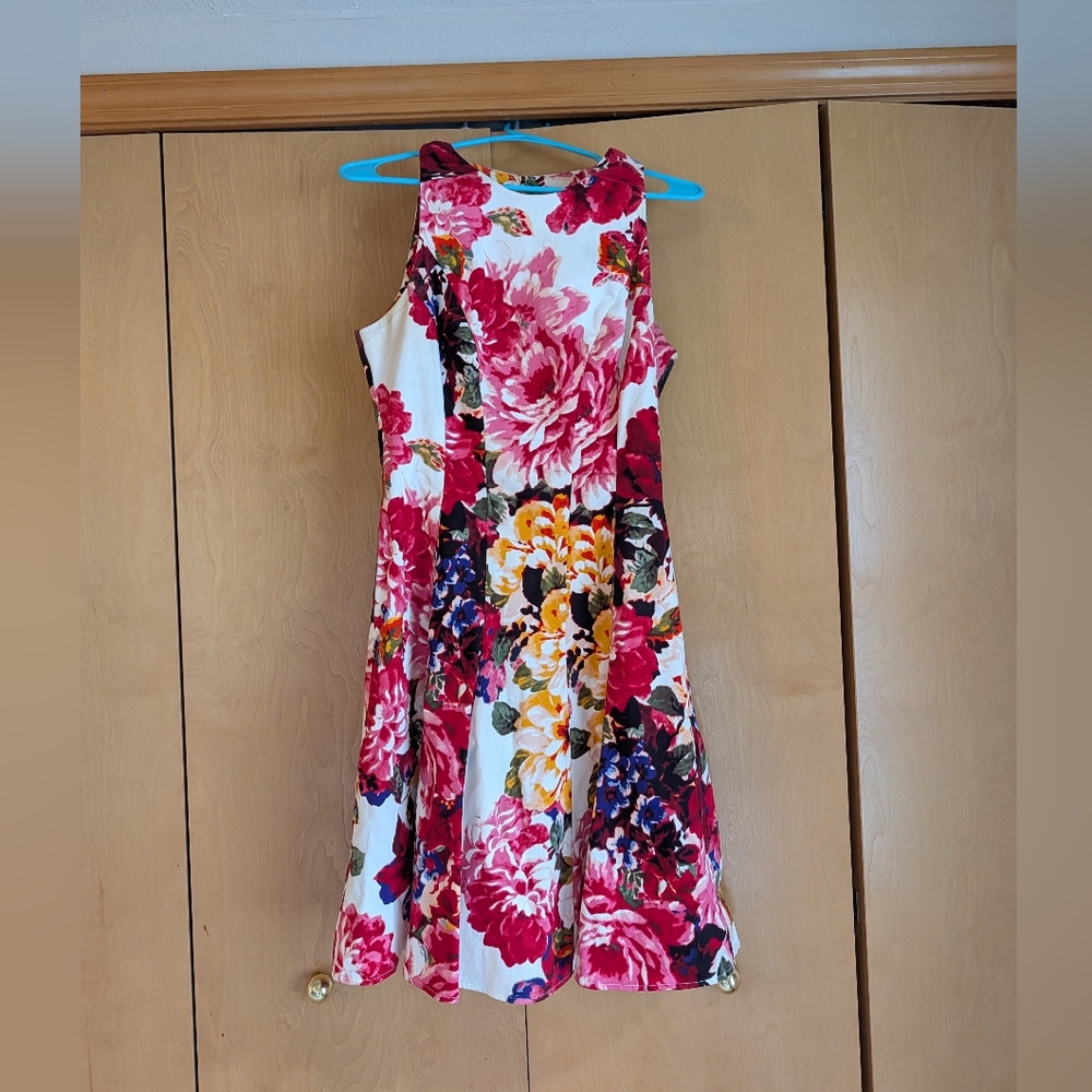 Maggy London Multicolor Floral Dress